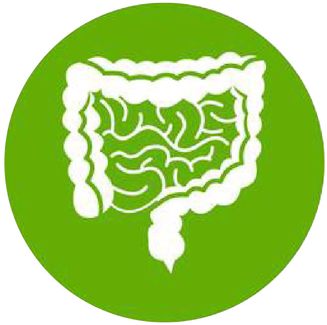 關(guān)注職場“腸”態(tài)，守護員工健康——上海格瑞特特邀消化內(nèi)科專家公益系列講座（4）(圖1)