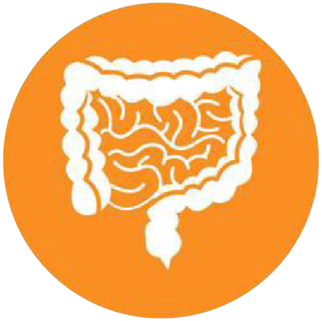 關(guān)注職場“腸”態(tài)，守護員工健康——上海格瑞特特邀消化內(nèi)科專家公益系列講座（4）(圖4)