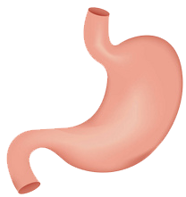 關(guān)注職場“腸”態(tài)，守護員工健康——上海格瑞特特邀消化內(nèi)科專家公益系列講座（4）(圖9)